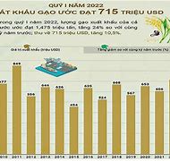 Báo Cáo Xuất Khẩu Gạo Việt Nam 2021 Là Gì Wikipedia