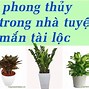 Các Loại Cây Cảnh Tiếng Anh