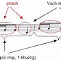 Học Đàn Guitar Cơ Bản Cho Người Mới Bắt Đầu