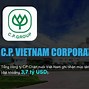 Những Công Ty Công Nghệ Lớn Nhất Việt Nam