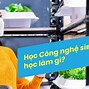 Nông Nghiệp Xanh Là Gì Vì Sao Nước Ta Cần Phát Triển Nông Nghiệp Xanh