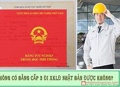 Xuất Khẩu Lao Động Không Cần Bằng Cấp 3