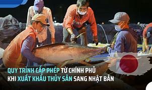 Xuất Khẩu Sắn Sang Nhật Bản